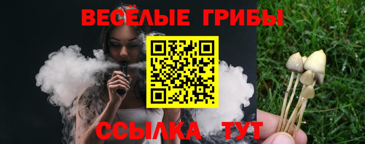 Псилоцибиновые грибы Psilocybine cubensis  Вход с VPN  Псилоцибиновые грибы Cubensis  Балтийск 