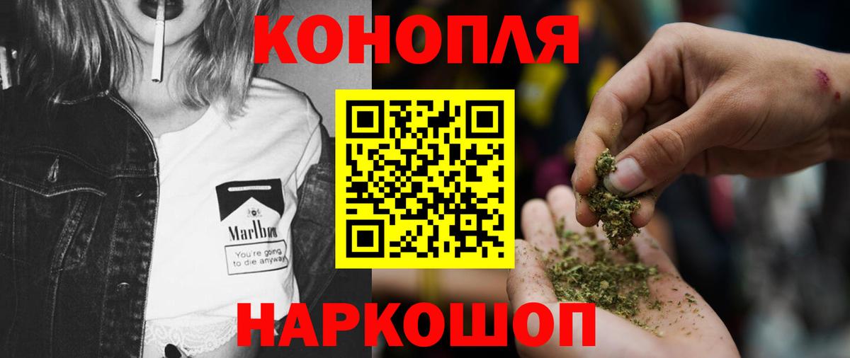 Канабис план  Бошки марихуана Amnesia  Балтийск  Бошки Шишки Ganja  Вход с VPN 
